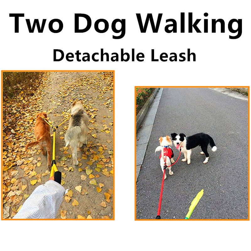 Dog Leash Double Leashes for D - Leather Strap Quick Release recensione e prezzo