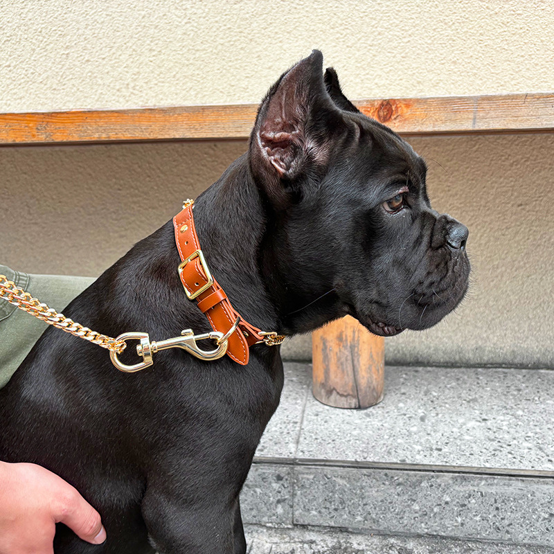 Loudik Wholesale Pet Collar Le - Leather Strap Quick Release recensione e prezzo